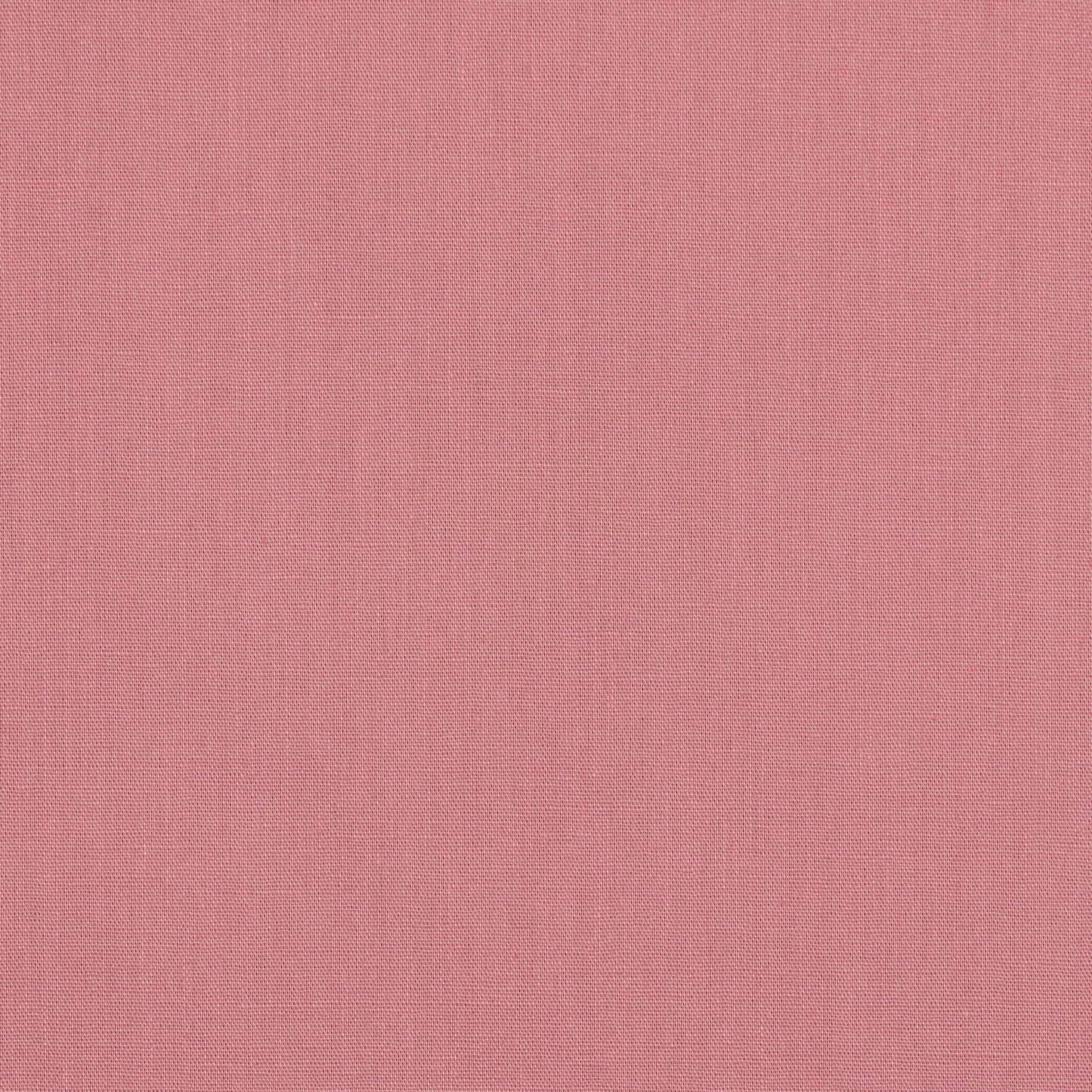Popeline de coton - Rose camélia