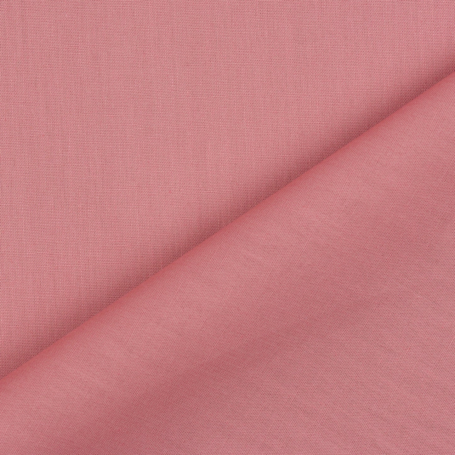 Popeline de coton - Rose camélia