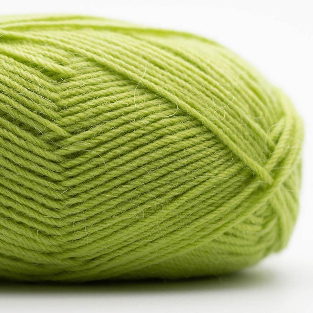 Laine à chaussette Edelweiss de Kremke Soul Wool Light Green 029