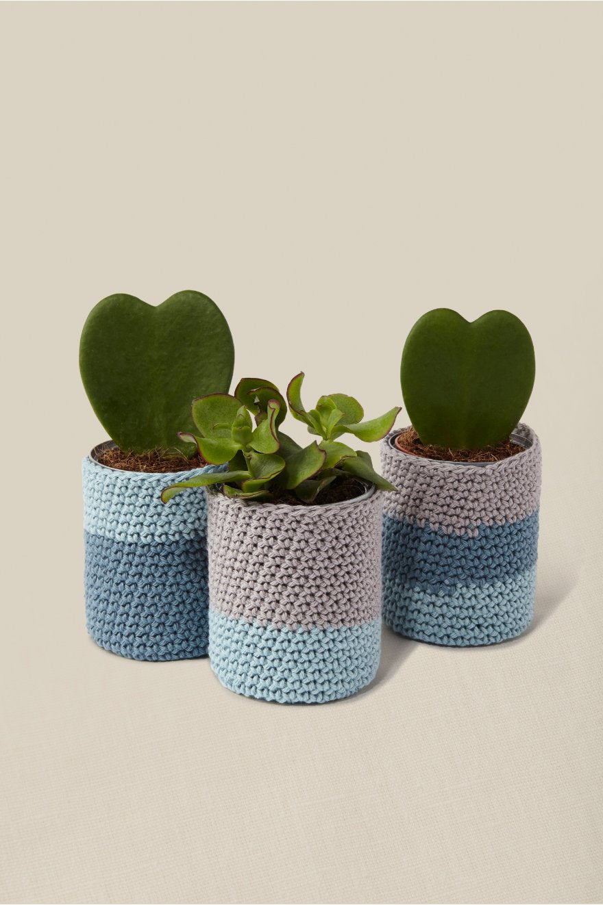 Kit Mindful making - DMC - Crochet - J'habille mes plantes